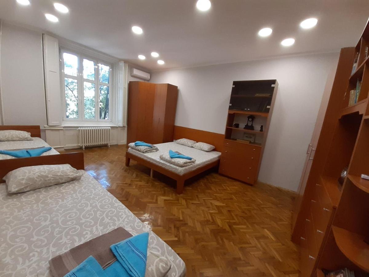 Downtown Apartment In Walk Zone With 3 Bedrooms And Garage Novi Sad Ngoại thất bức ảnh