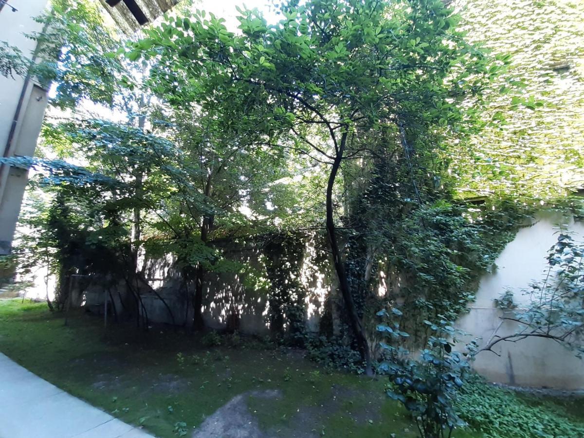 Downtown Apartment In Walk Zone With 3 Bedrooms And Garage Novi Sad Ngoại thất bức ảnh