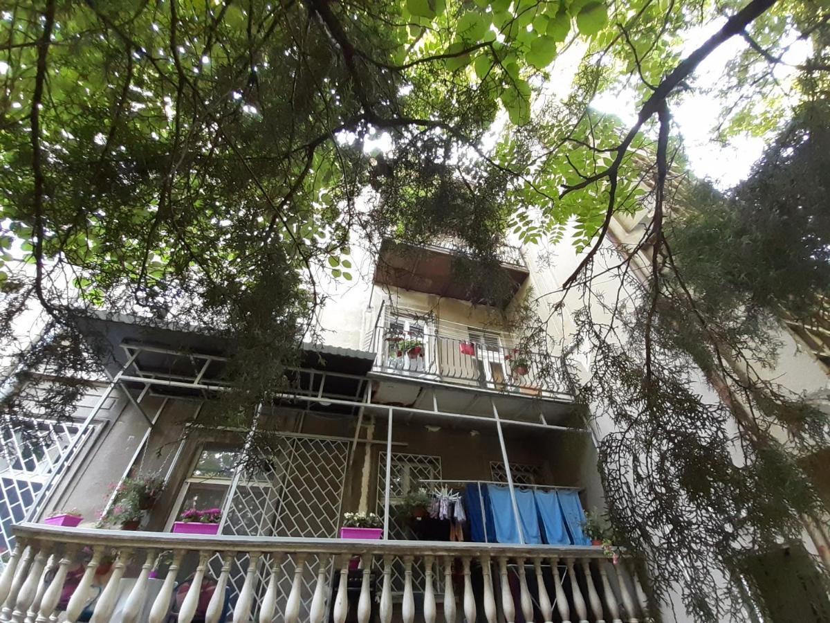 Downtown Apartment In Walk Zone With 3 Bedrooms And Garage Novi Sad Ngoại thất bức ảnh