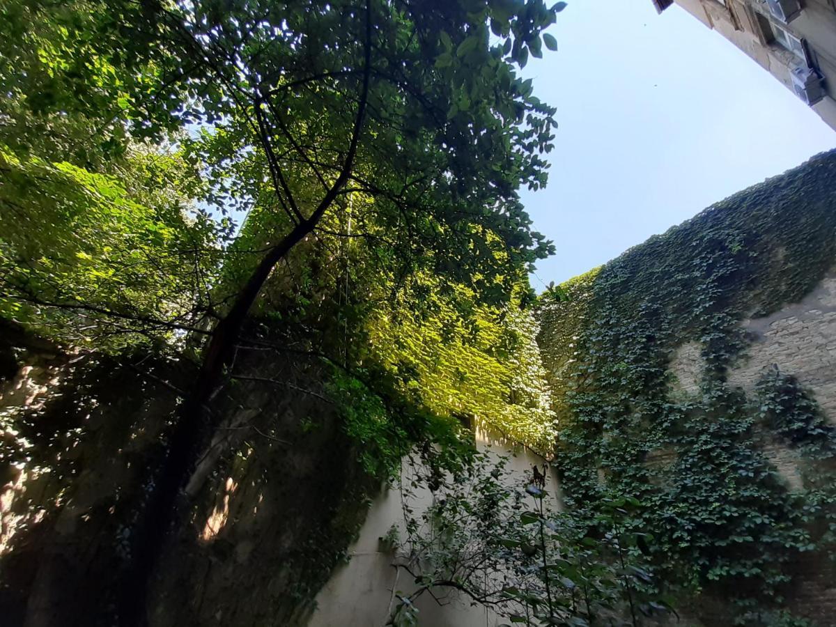 Downtown Apartment In Walk Zone With 3 Bedrooms And Garage Novi Sad Ngoại thất bức ảnh